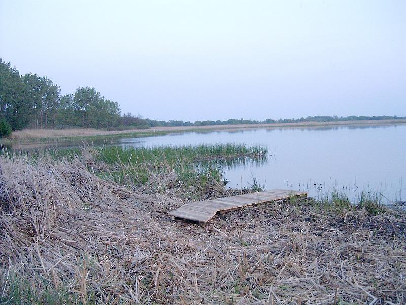 20110426 07.jpg